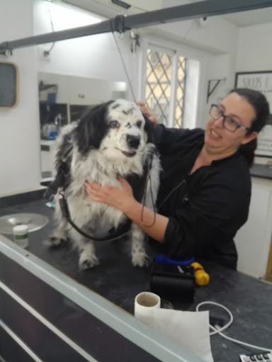 Rastas Coes peluquería y estética canina