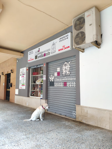 Clínica Veterinaria Sevilla Este