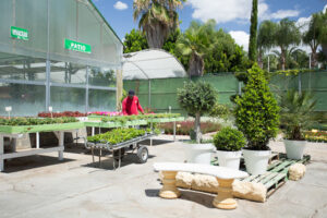 Vivero Garden Center Belmonte