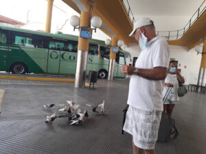Transportes Generales Comes S.A. - Taquilla Sevilla