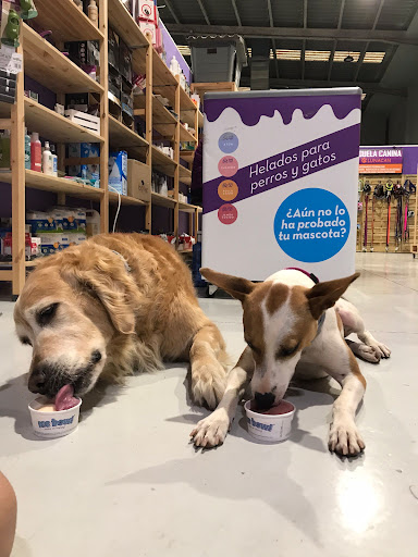 LUNACAN (tienda de alimentación para mascotas y adiestrador canino profesional en San Jose de la Rinconada)