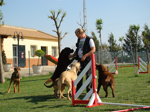 Residencia Canina y Felina Ruta de la Plata - Sevilla