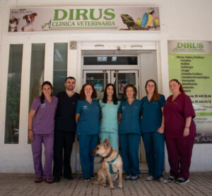 CLINICA VETERINARIA DIRUS WECAN