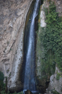 Montaña Viva